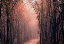 蓝鲸体育官网:“篮球运动员退役后从事教练工作,培养新一代球员”.