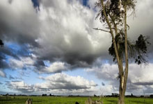 澳门表彰2024年优秀运动员及教练员2025-02-14.