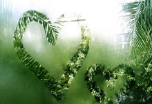 蓝鲸体育官网：中国协与英超签署合作备忘录.